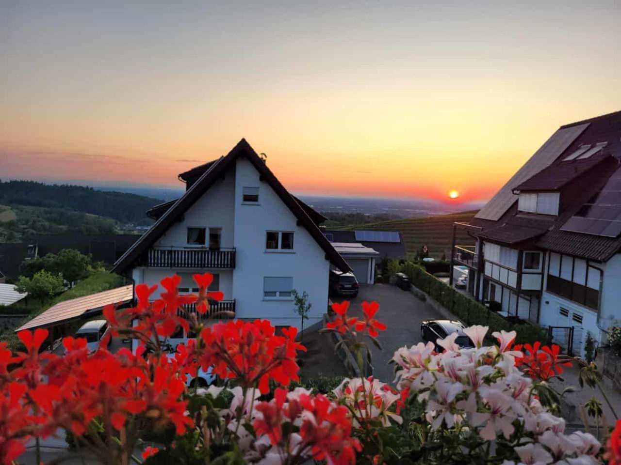 Renatas Ferienwohnung ซัสบาควัลเดิน ภายนอก รูปภาพ